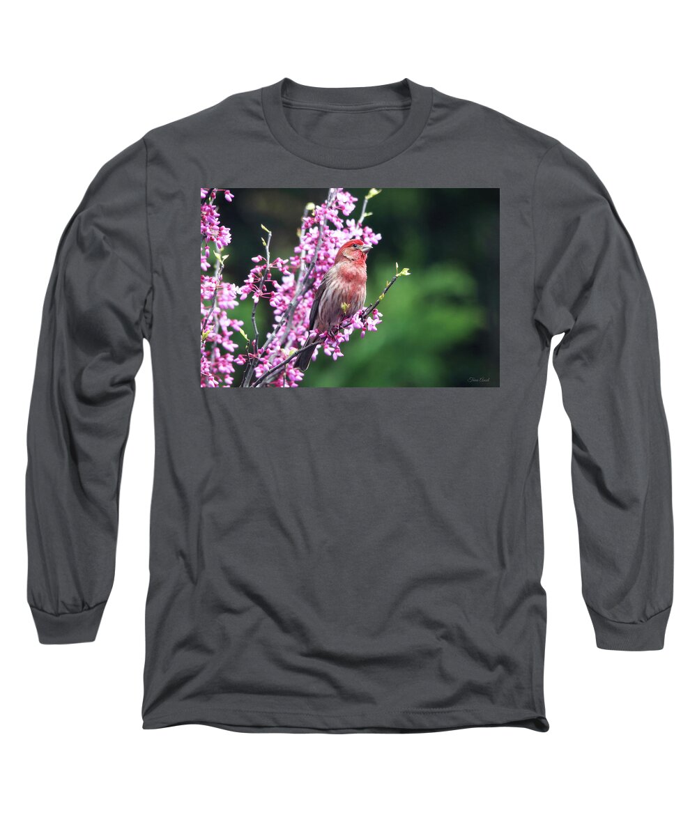 Birds Long Sleeve T-Shirt featuring the photograph Purple Finch in the Redbud Tree by Trina Ansel
