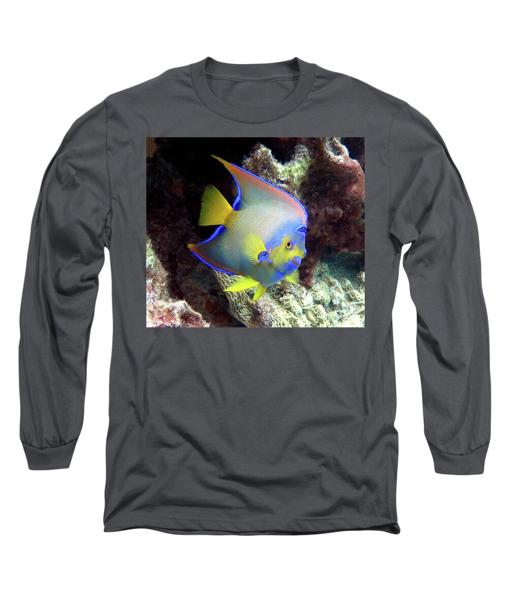 Underwater Long Sleeve T-Shirt featuring the photograph Queen Angelfish 28 by Daryl Duda
