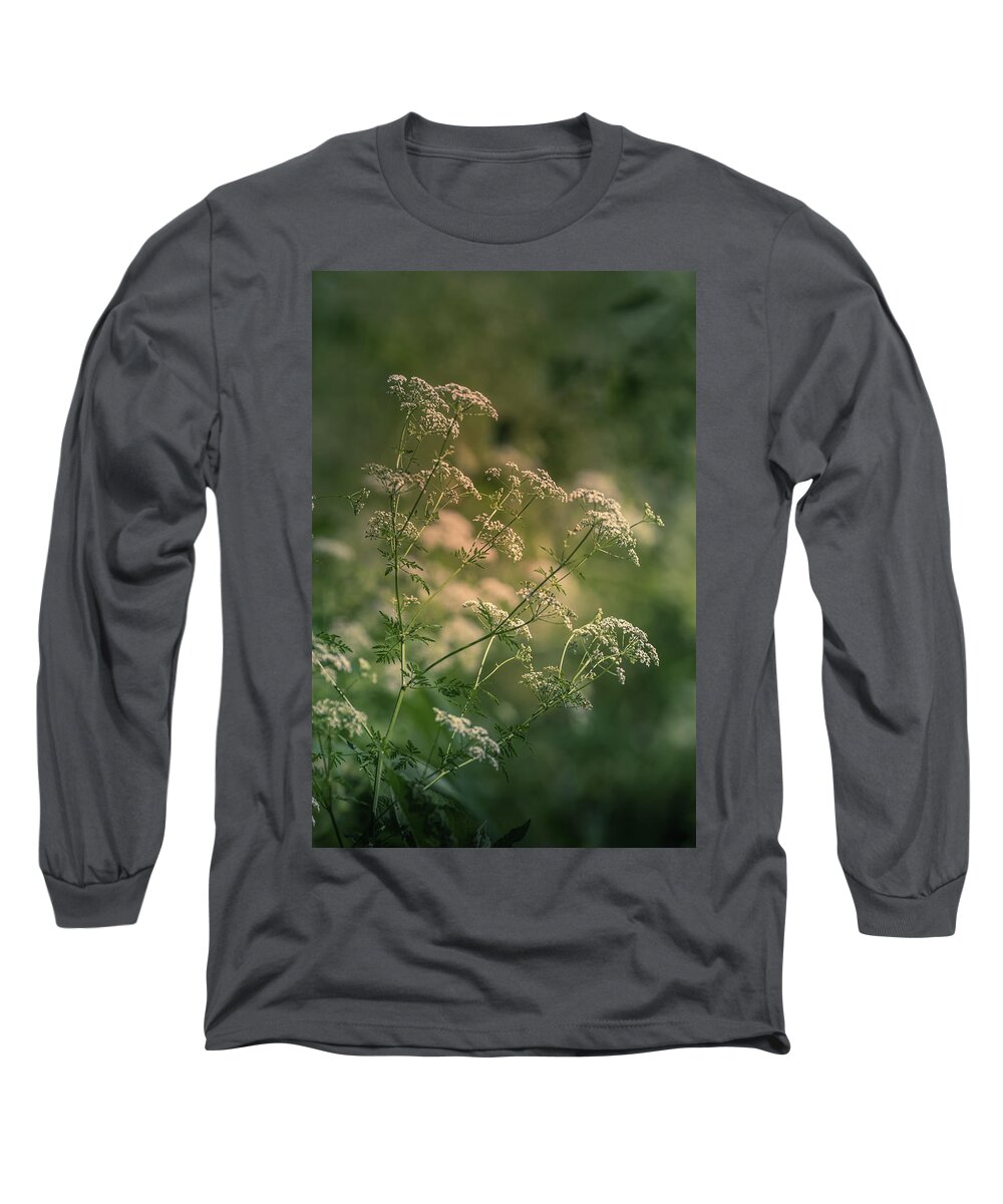 Flower Long Sleeve T-Shirt featuring the photograph Queen Anne's Lace by Allin Sorenson