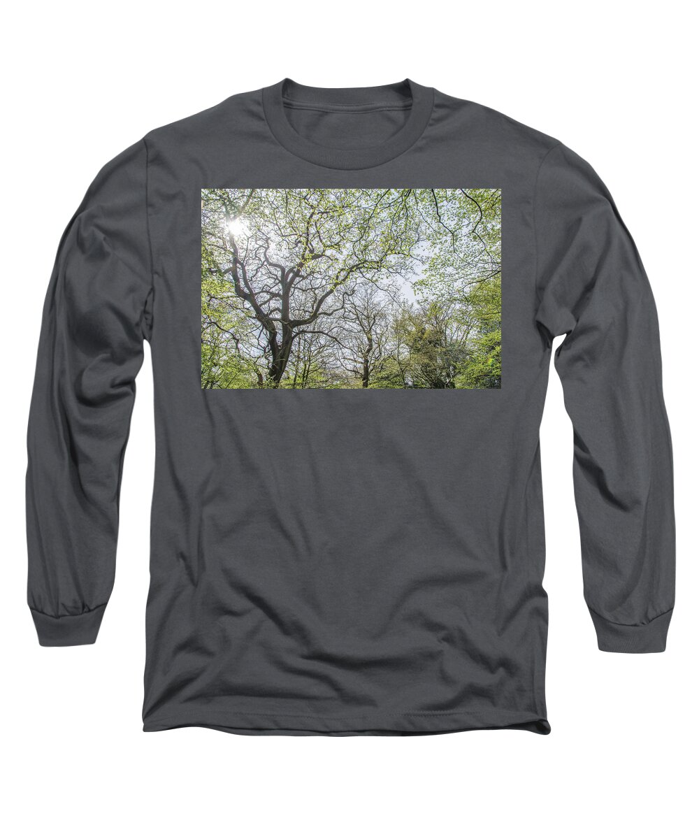 Queen's Wood Long Sleeve T-Shirt featuring the photograph Queen's Wood Trees Spring 3 by Edmund Peston