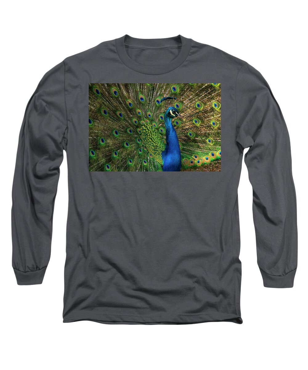 Greensboro Science Center Long Sleeve T-Shirt featuring the photograph Radiant Plumage by Melissa Southern