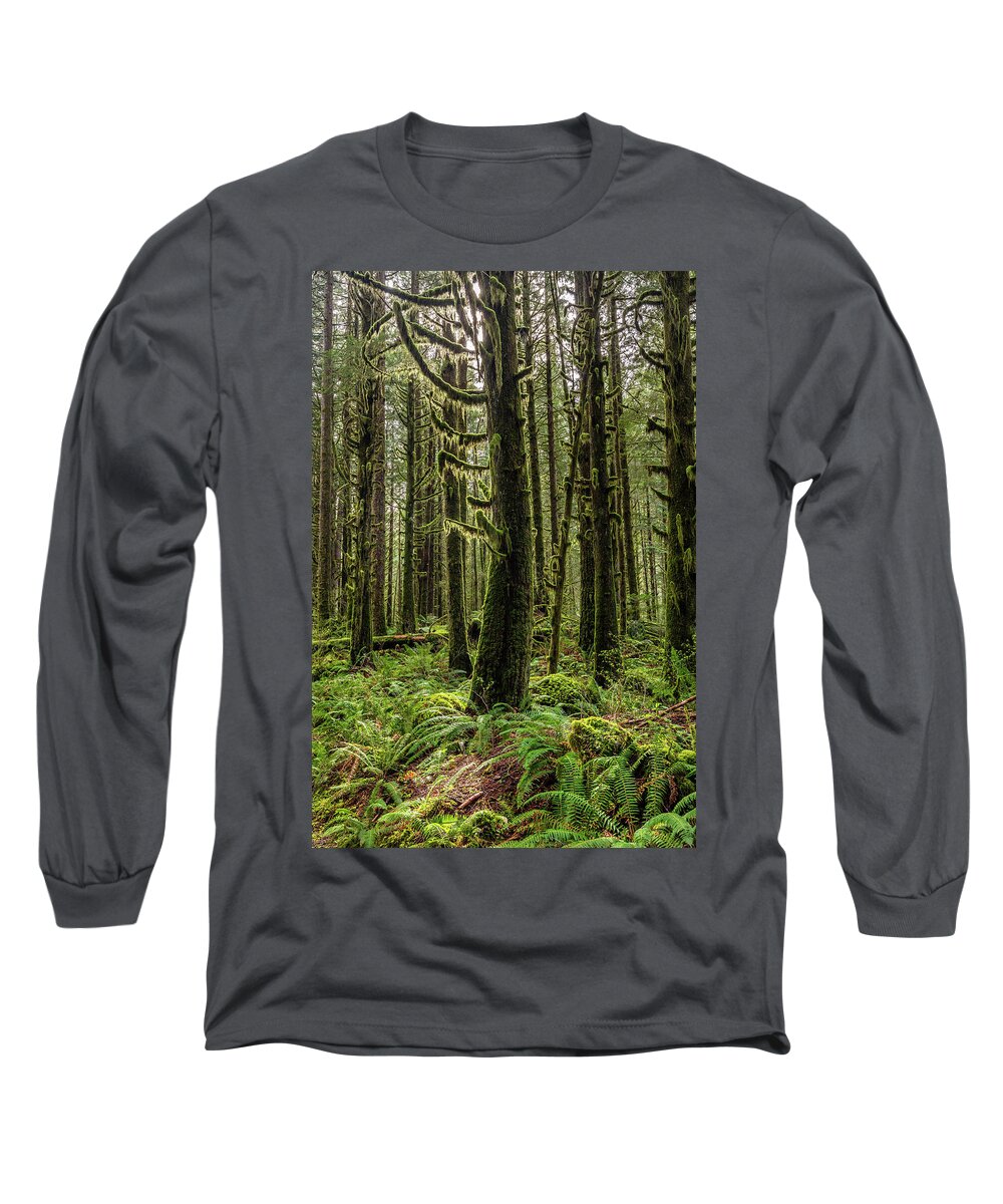 Rain Forest Long Sleeve T-Shirt featuring the photograph Rain Forest of Golden Ears by Pierre Leclerc Photography