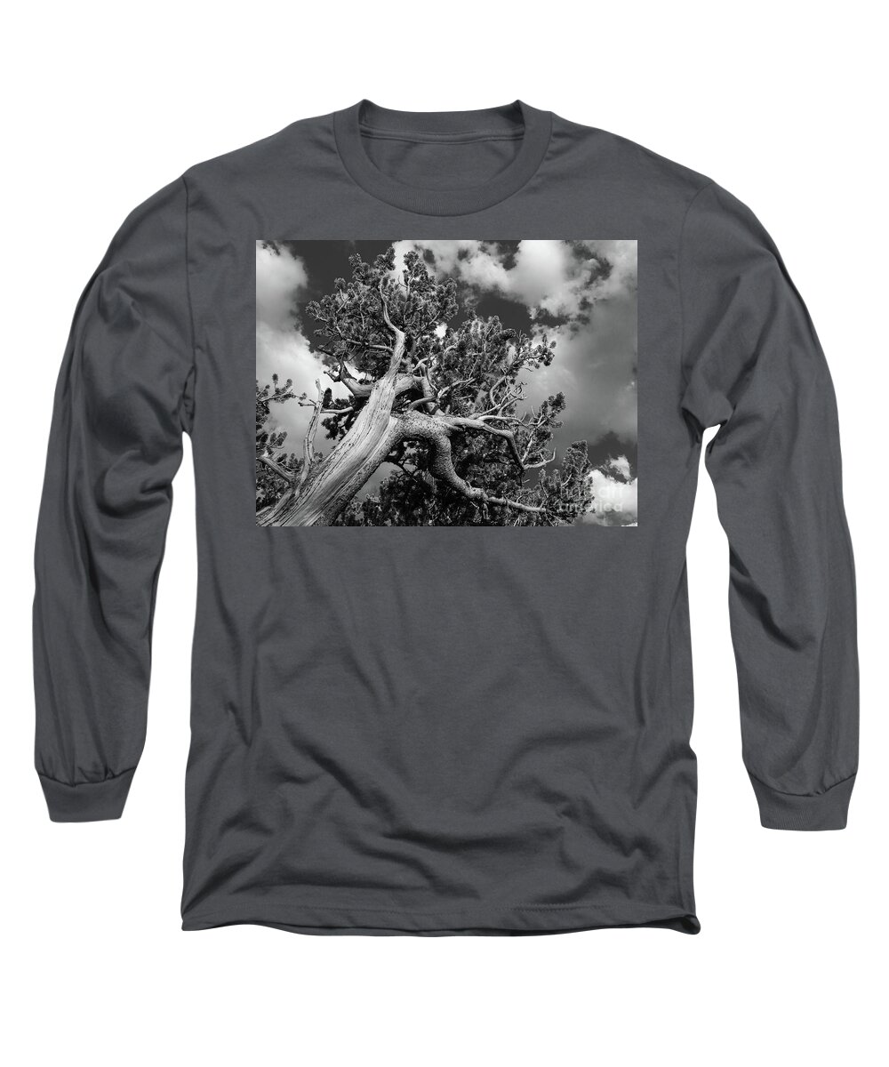Ancient Sentinels Long Sleeve T-Shirt featuring the photograph Reaching for the sky by Maresa Pryor-Luzier