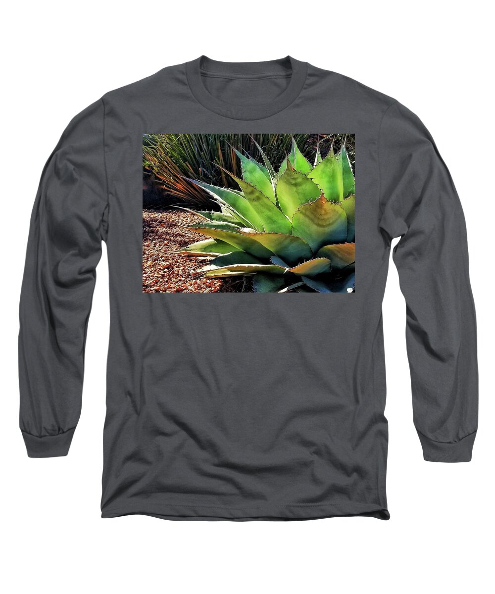 Agave Long Sleeve T-Shirt featuring the photograph Reaching by Terry Ann Morris
