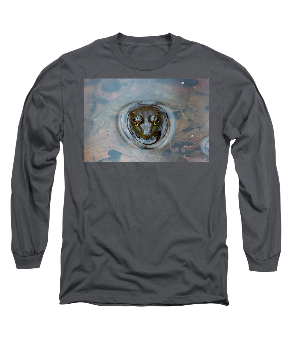Frog Long Sleeve T-Shirt featuring the photograph Ready to Leap by Denise Kopko