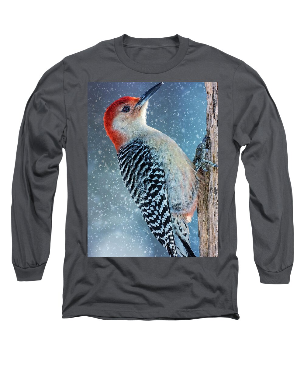Tree Long Sleeve T-Shirt featuring the photograph Red-Belly Snowy Tree by Bill and Linda Tiepelman