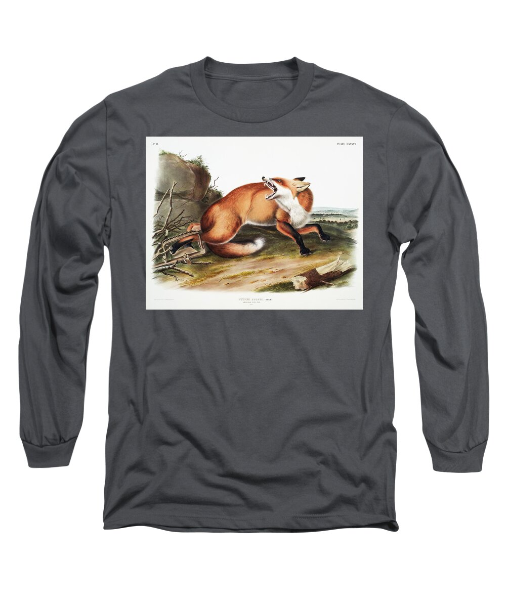 America Long Sleeve T-Shirt featuring the mixed media Red Fox. John Woodhouse Audubon Illustration by World Art Collective
