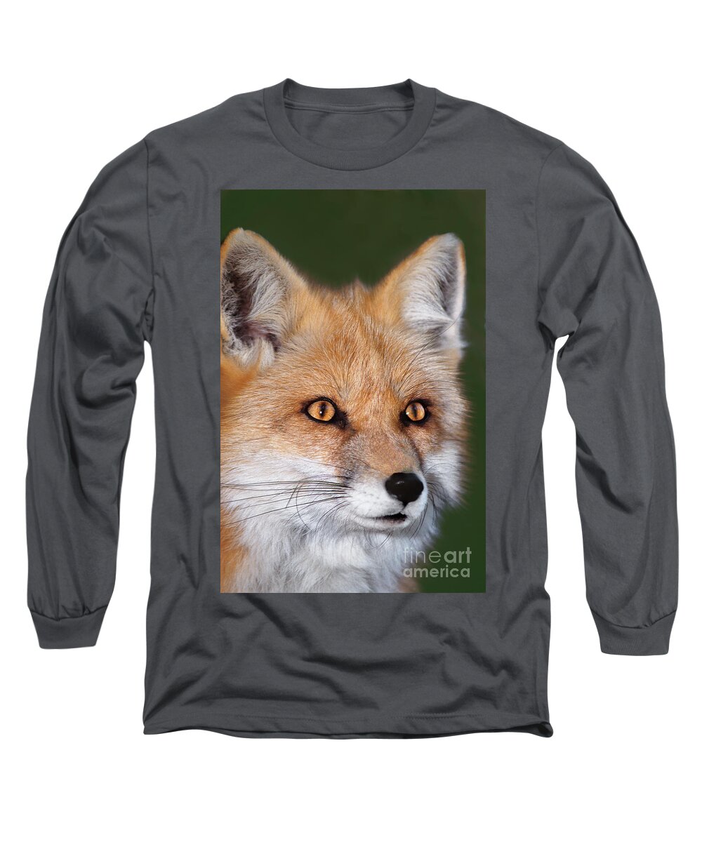 Red Fox Long Sleeve T-Shirt featuring the photograph Red Fox Portrait Wildlife Rescue by Dave Welling