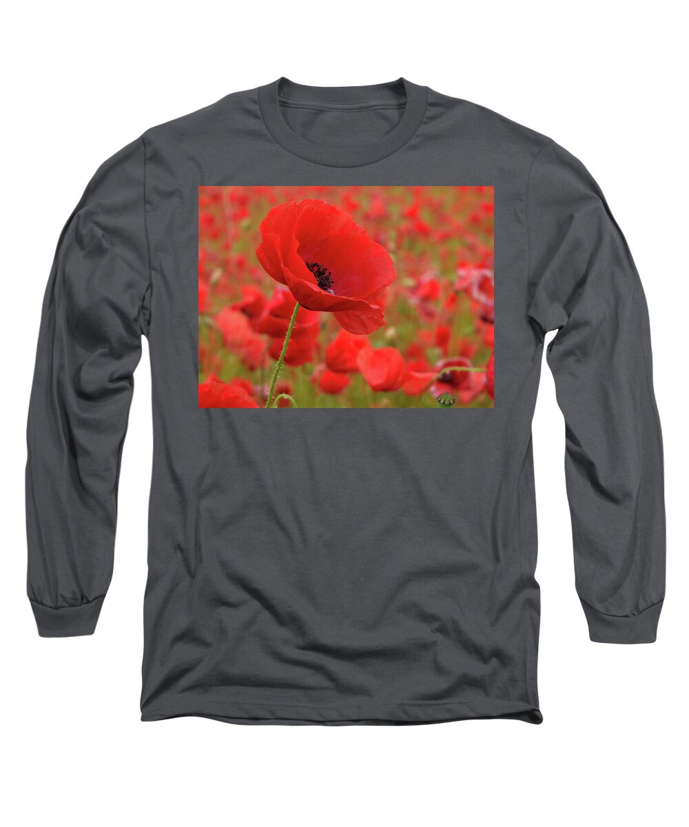 Lehtokukka Long Sleeve T-Shirt featuring the photograph Red poppies 3a by Jouko Lehto