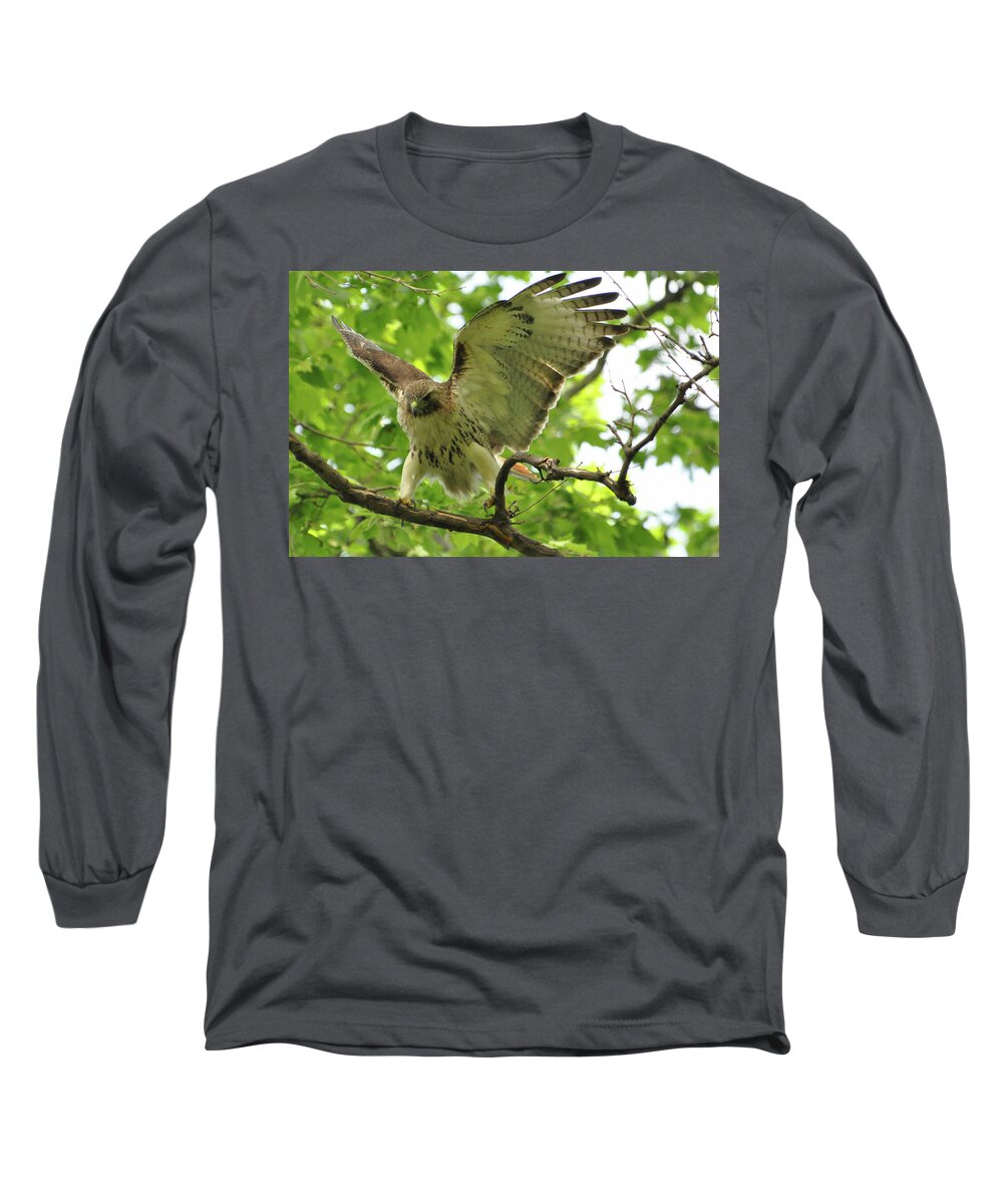 Birds Long Sleeve T-Shirt featuring the digital art Red Tail by Sarah McKoy