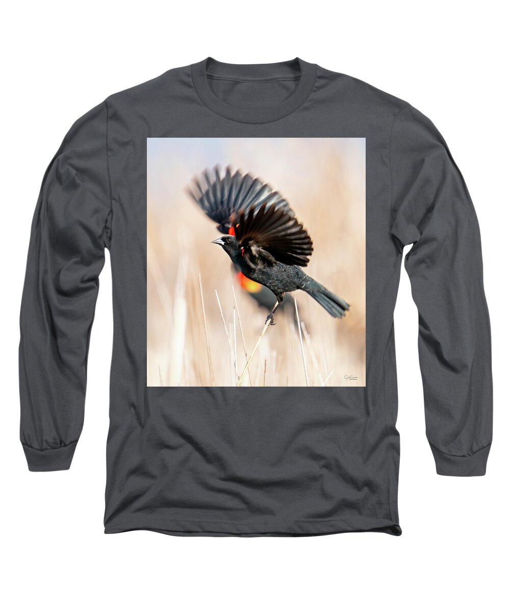 Red-winged Blackbirds Long Sleeve T-Shirt featuring the photograph Red-winged Blackbird Wingspread by Judi Dressler