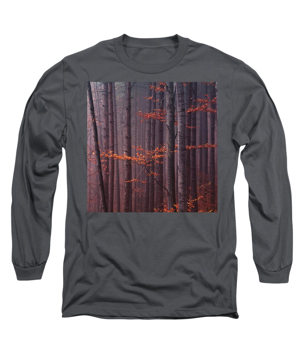 Mountain Long Sleeve T-Shirt featuring the photograph Red Wood by Evgeni Dinev