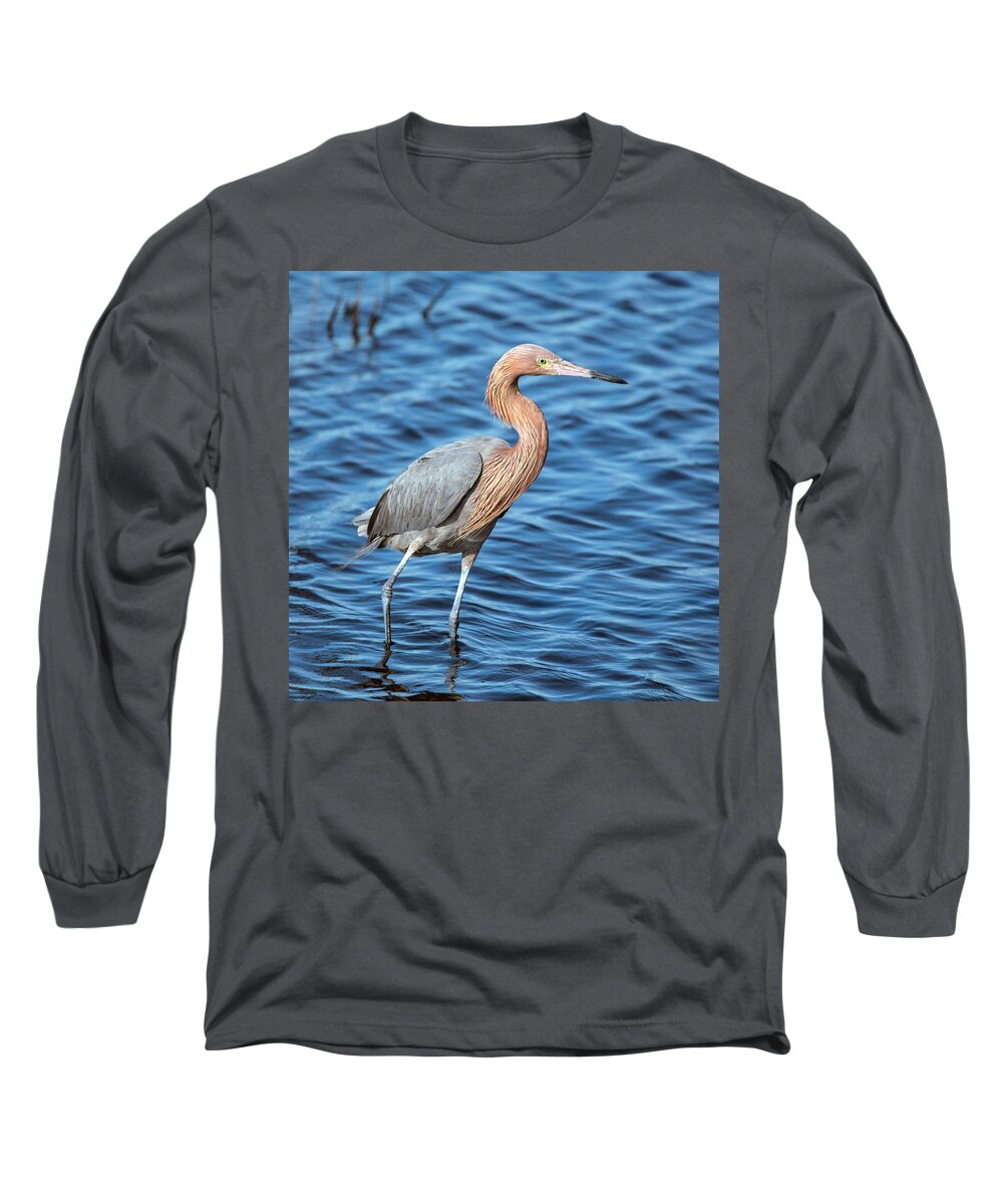 Reddish Egret Long Sleeve T-Shirt featuring the photograph Reddish Egret in Blue Waters by Jaki Miller