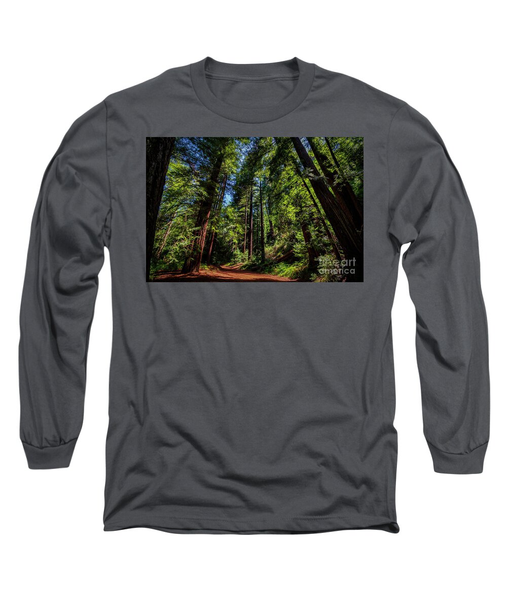 Redwoods Long Sleeve T-Shirt featuring the photograph Redwood Forest by Rich Cruse
