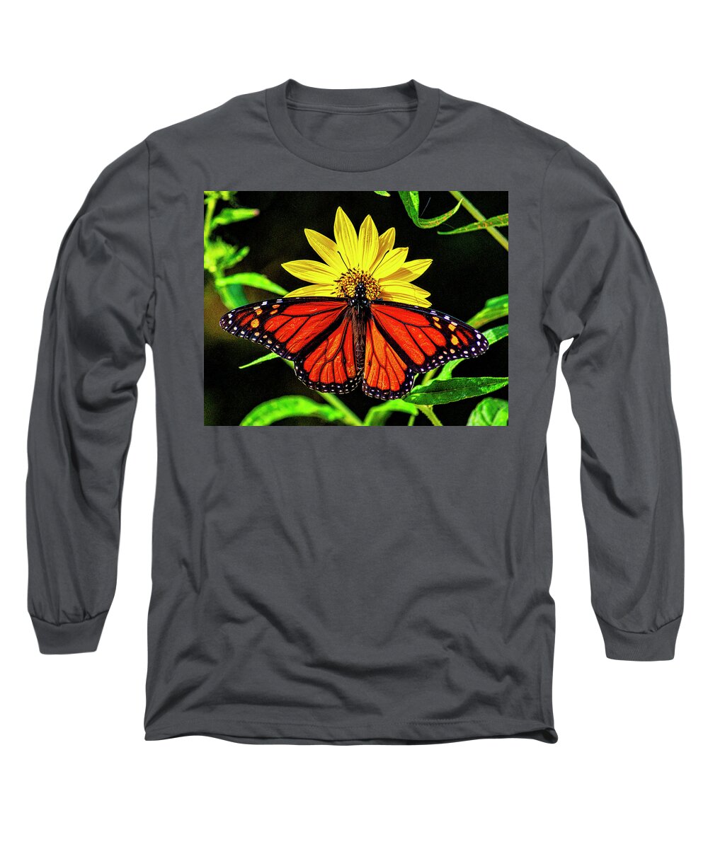 Beautiful Long Sleeve T-Shirt featuring the photograph Resting Monarch by Nick Zelinsky Jr