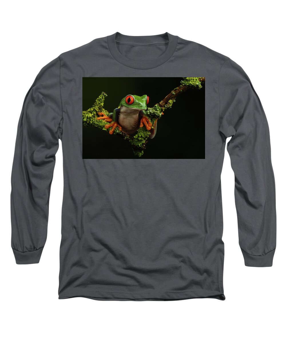 Frogs Long Sleeve T-Shirt featuring the photograph Retf-0303 by Miles Herbert