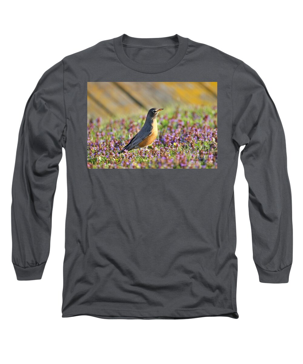 Robin Long Sleeve T-Shirt featuring the photograph Robin in a bed of purple flowers by Yvonne M Smith