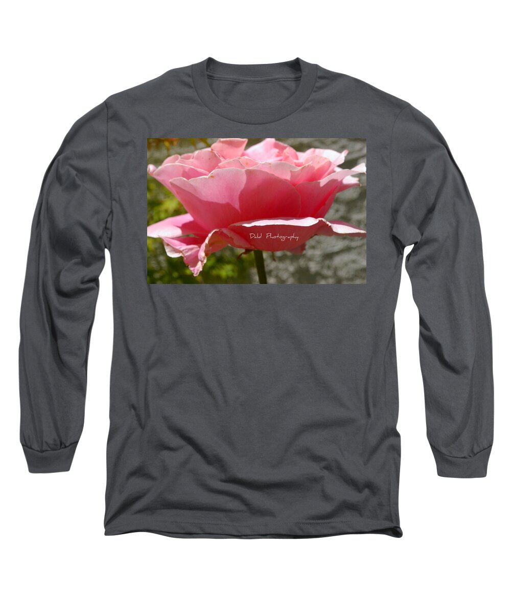  Long Sleeve T-Shirt featuring the photograph Rose by Kristy Urain