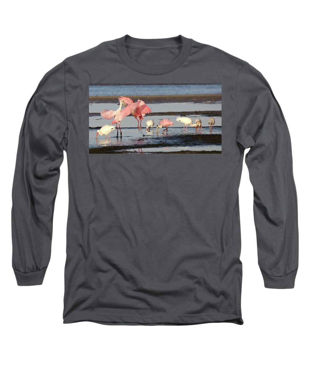 Roseate Spoonbill Long Sleeve T-Shirt featuring the photograph Roseate Spoonbill 9 by Mingming Jiang