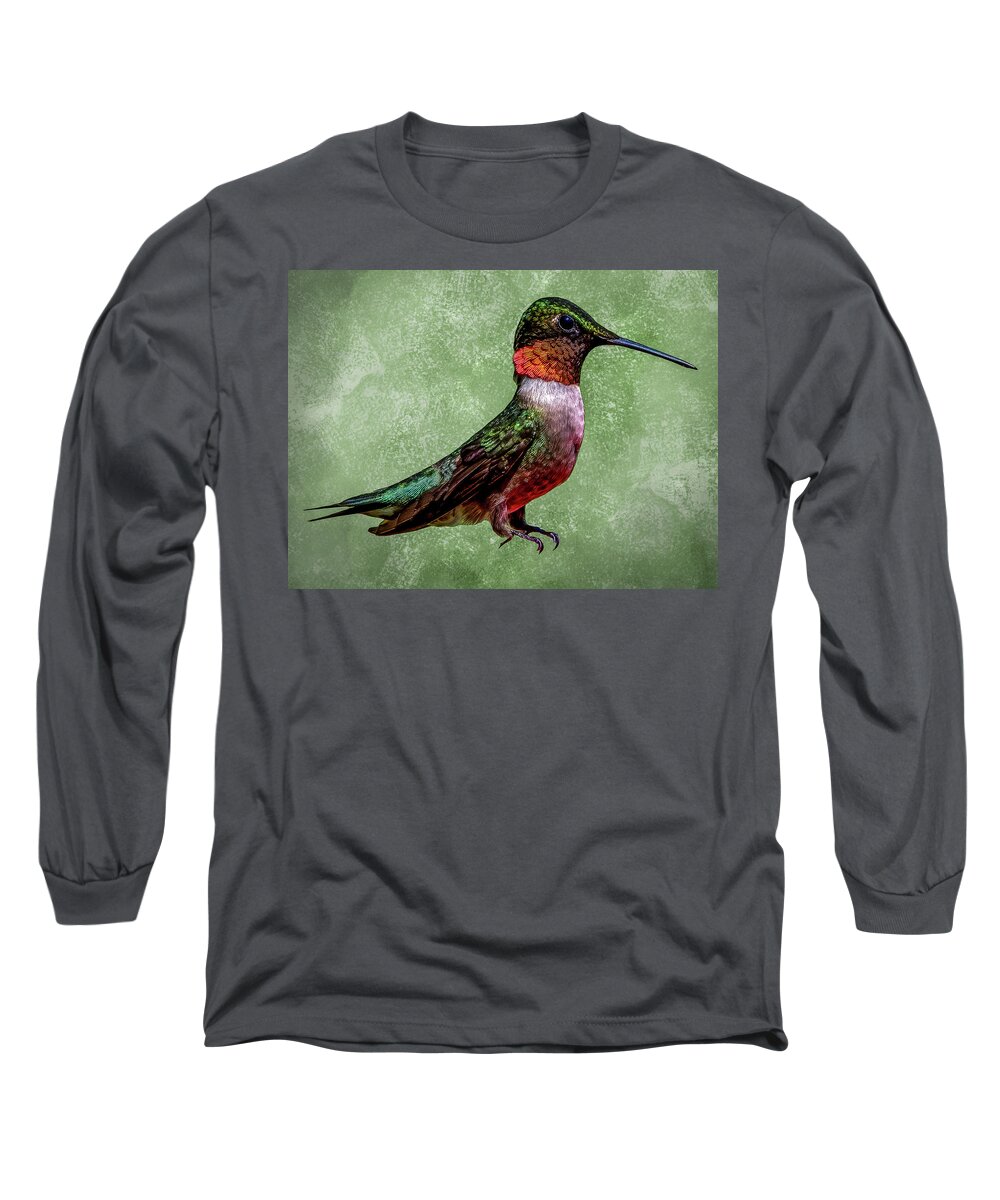 Animal Long Sleeve T-Shirt featuring the photograph Ruby Throat by Brian Shoemaker