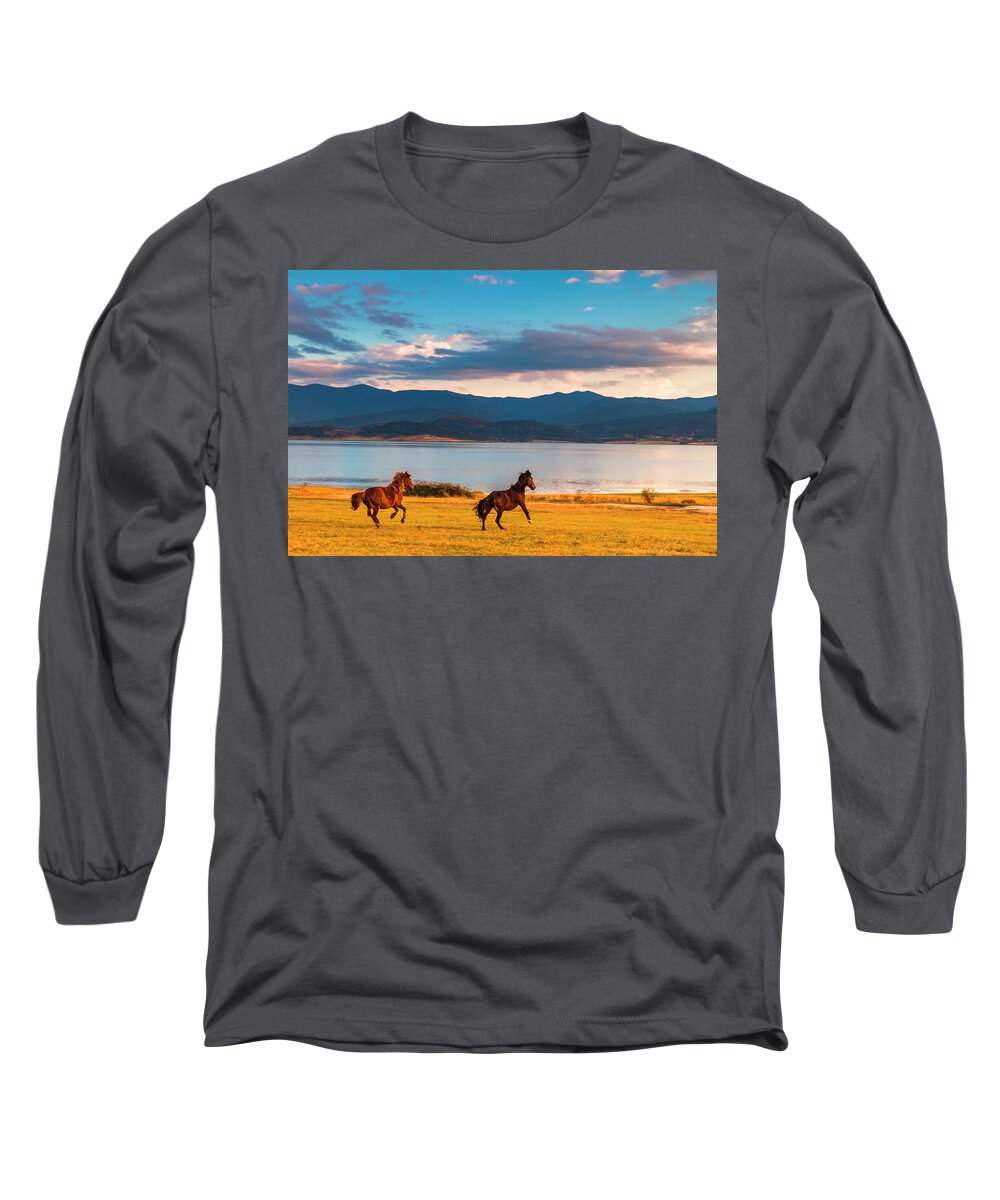 Animal Long Sleeve T-Shirt featuring the photograph Running Horses by Evgeni Dinev