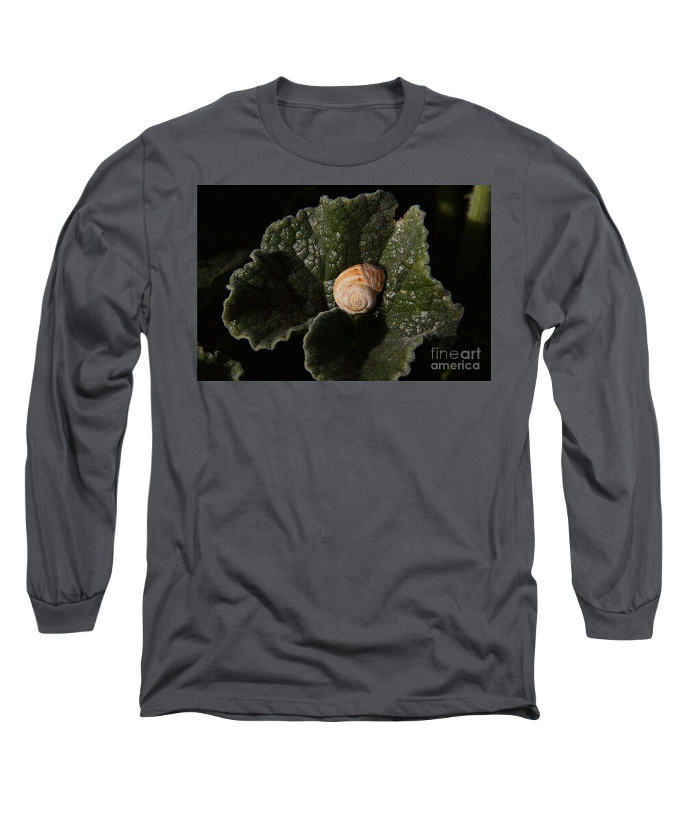 Snail Long Sleeve T-Shirt featuring the photograph Safe Place to Rest by fototaker Tony