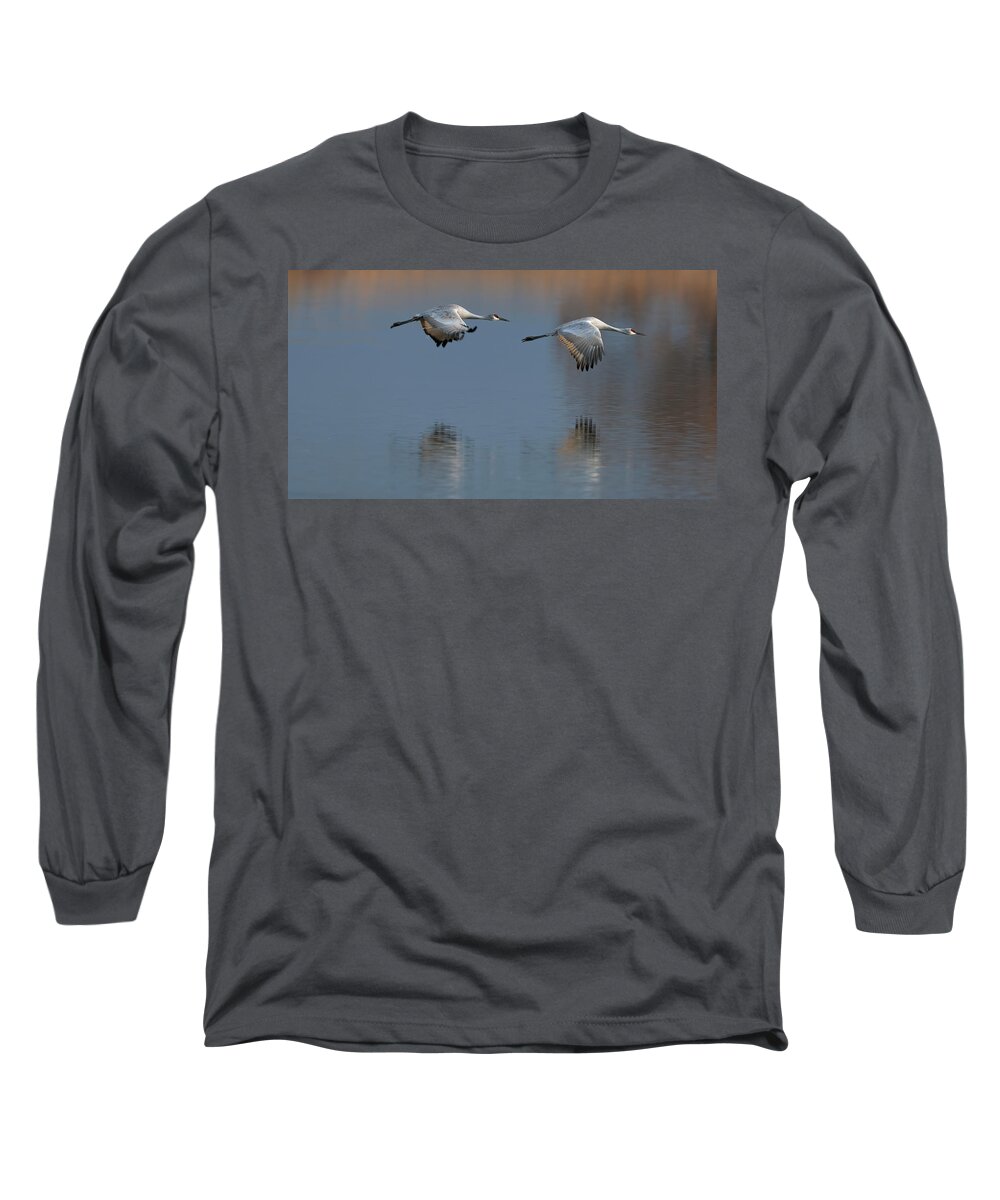Sand Hill Long Sleeve T-Shirt featuring the photograph SandHill Crane returning by Gary Langley