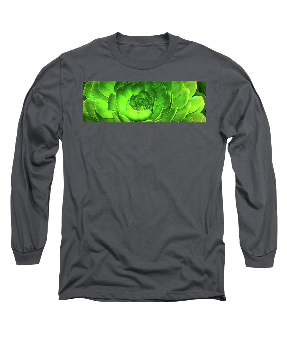 Environmental Long Sleeve T-Shirt featuring the photograph Santa Barbara Succulent #7 by Jennifer Wright