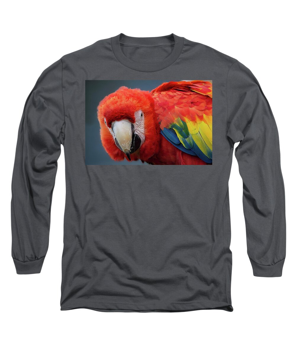 Parrot Long Sleeve T-Shirt featuring the photograph Scarlet Macaw portrait by Gareth Parkes