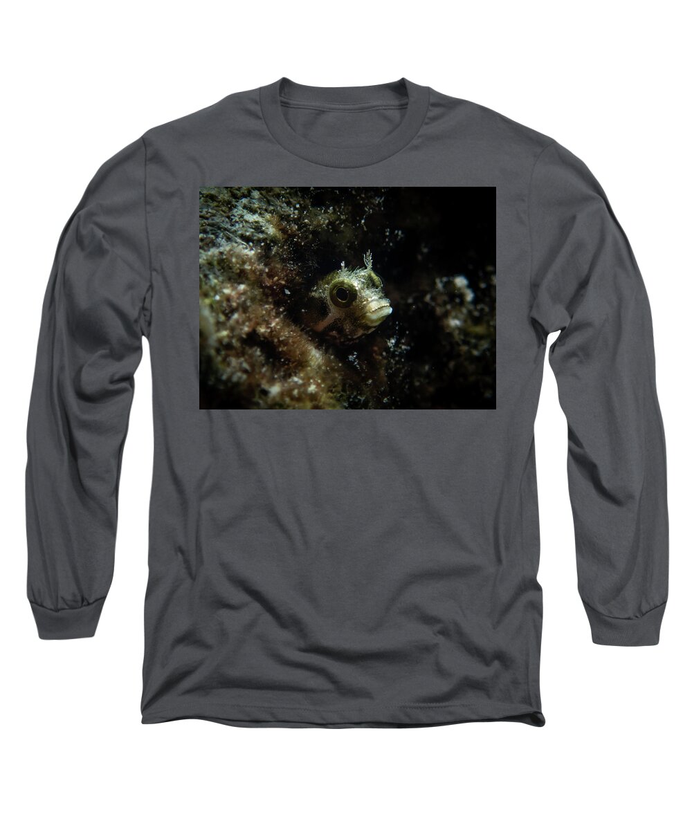 Blenny Long Sleeve T-Shirt featuring the photograph Secretary blenny peeking out by Brian Weber