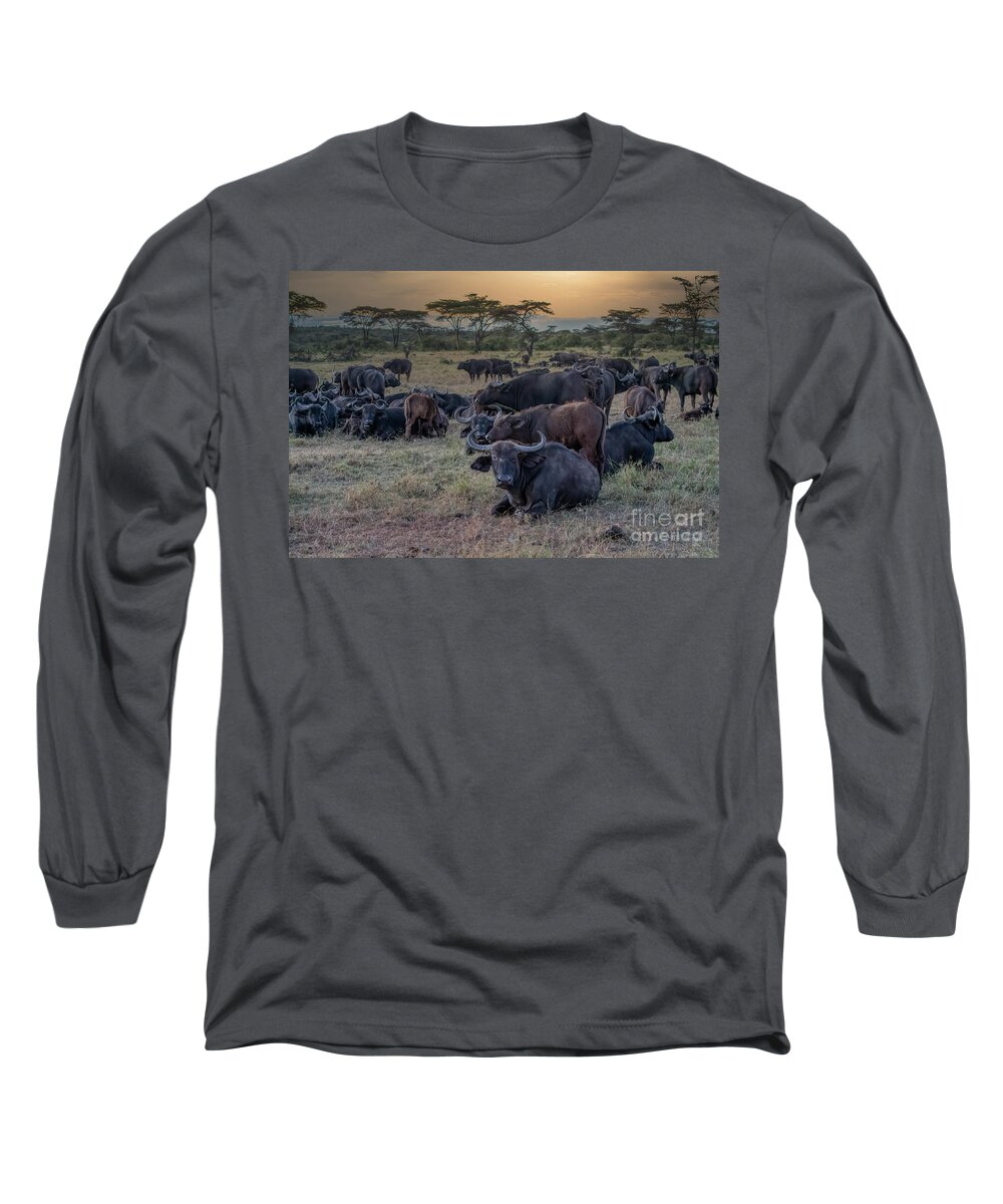 Animals Long Sleeve T-Shirt featuring the photograph Settling In by Sandra Bronstein
