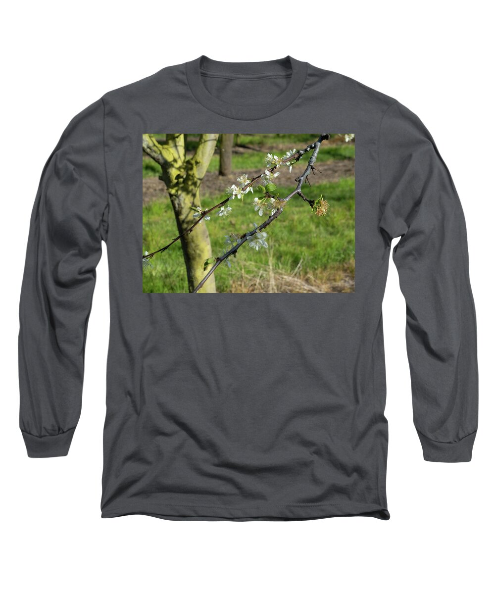 Orchard Long Sleeve T-Shirt featuring the photograph Shadows and Blossoms by Leslie Struxness