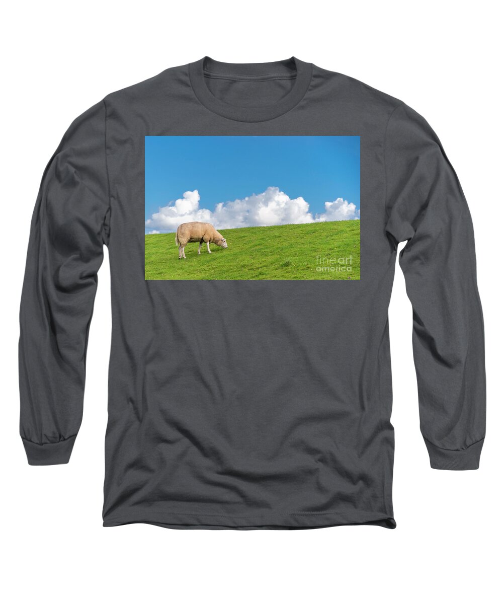 Sheep Long Sleeve T-Shirt featuring the photograph Sheep eating. Endlessly. by Daniel M Walsh