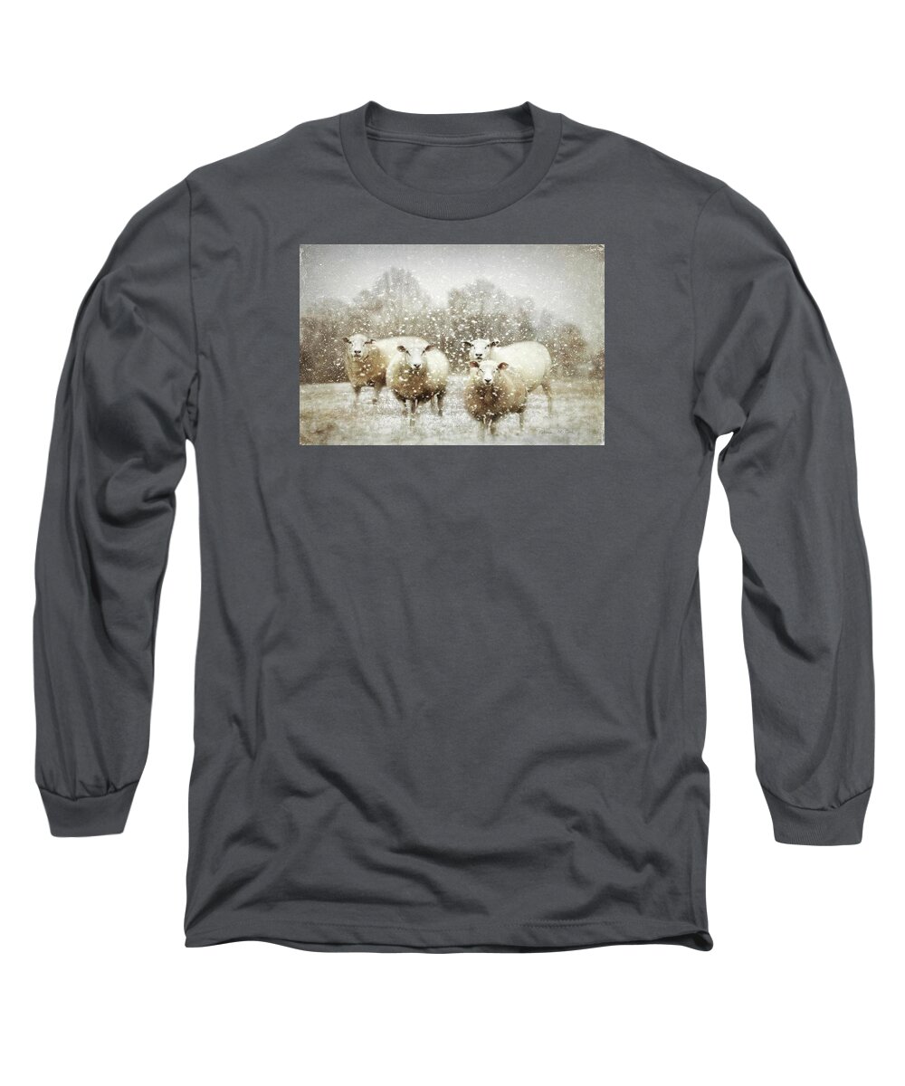Sheep Gathering In Snow Long Sleeve T-Shirt featuring the photograph Sheep Gathering In Snow by Bellesouth Studio
