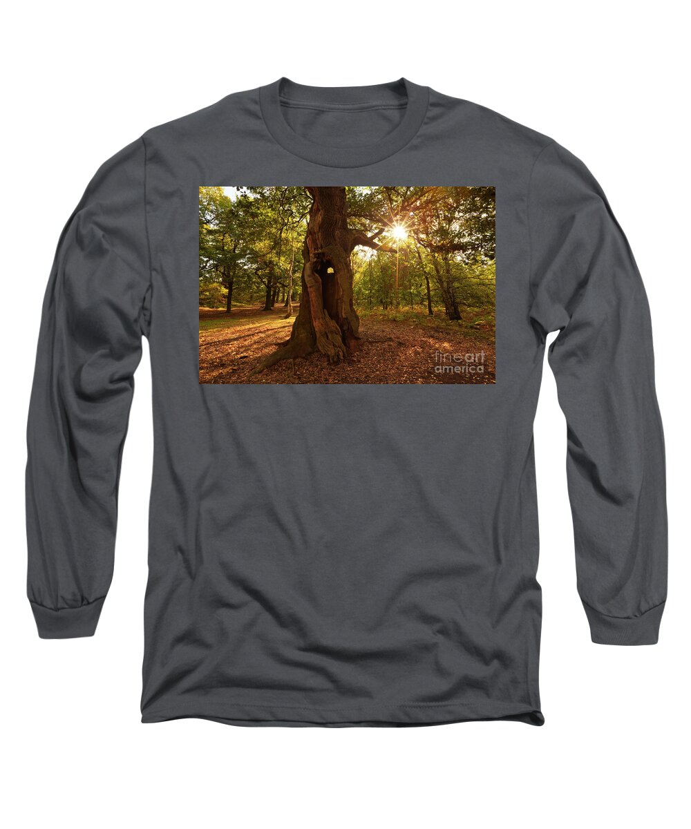 Sherwood Forest Long Sleeve T-Shirt featuring the photograph Sherwood Forest Oak Tree, Nottingham, England by Neale And Judith Clark