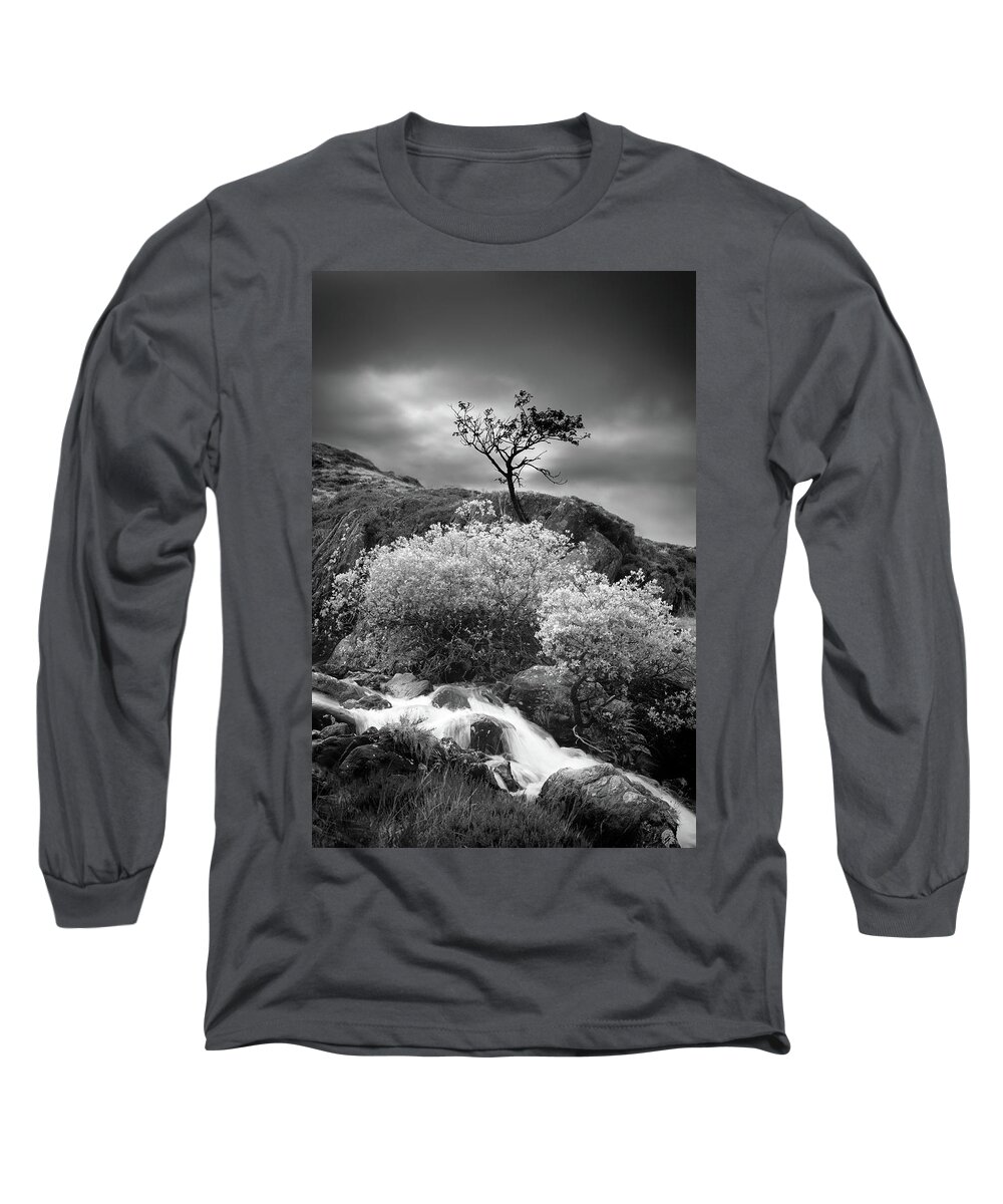 Silhouetted Tree Long Sleeve T-Shirt featuring the photograph Silhouetted tree and flowing water by Victoria Ashman