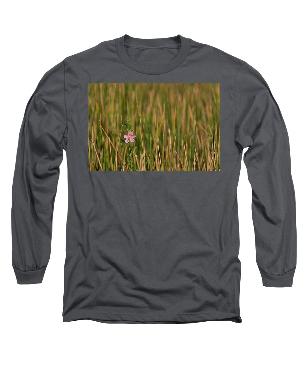 Blooming Long Sleeve T-Shirt featuring the photograph Single Flower Among Wetland Grasses by Charles Floyd