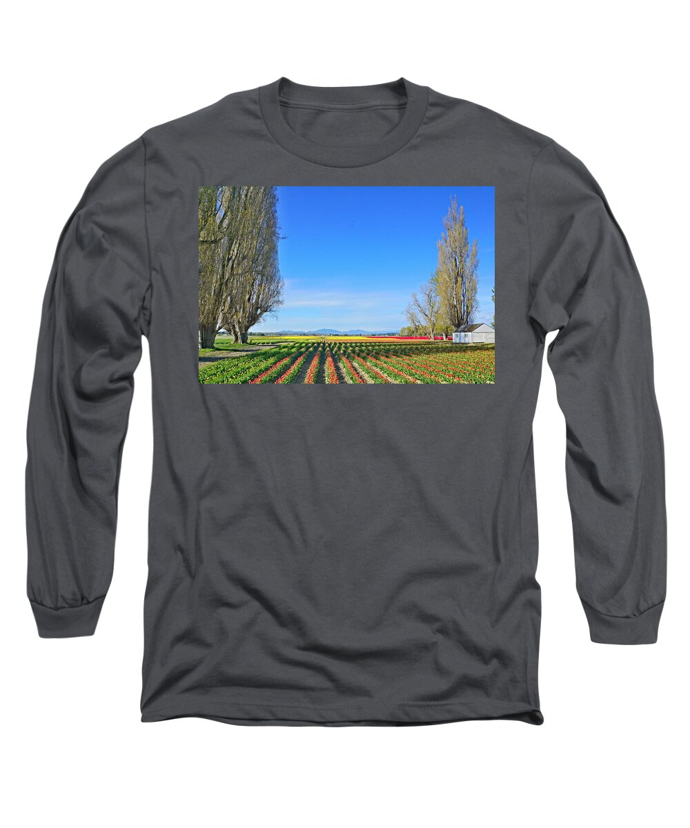 Landscape Long Sleeve T-Shirt featuring the photograph Skagit Valley Tulip Fields by Bill TALICH
