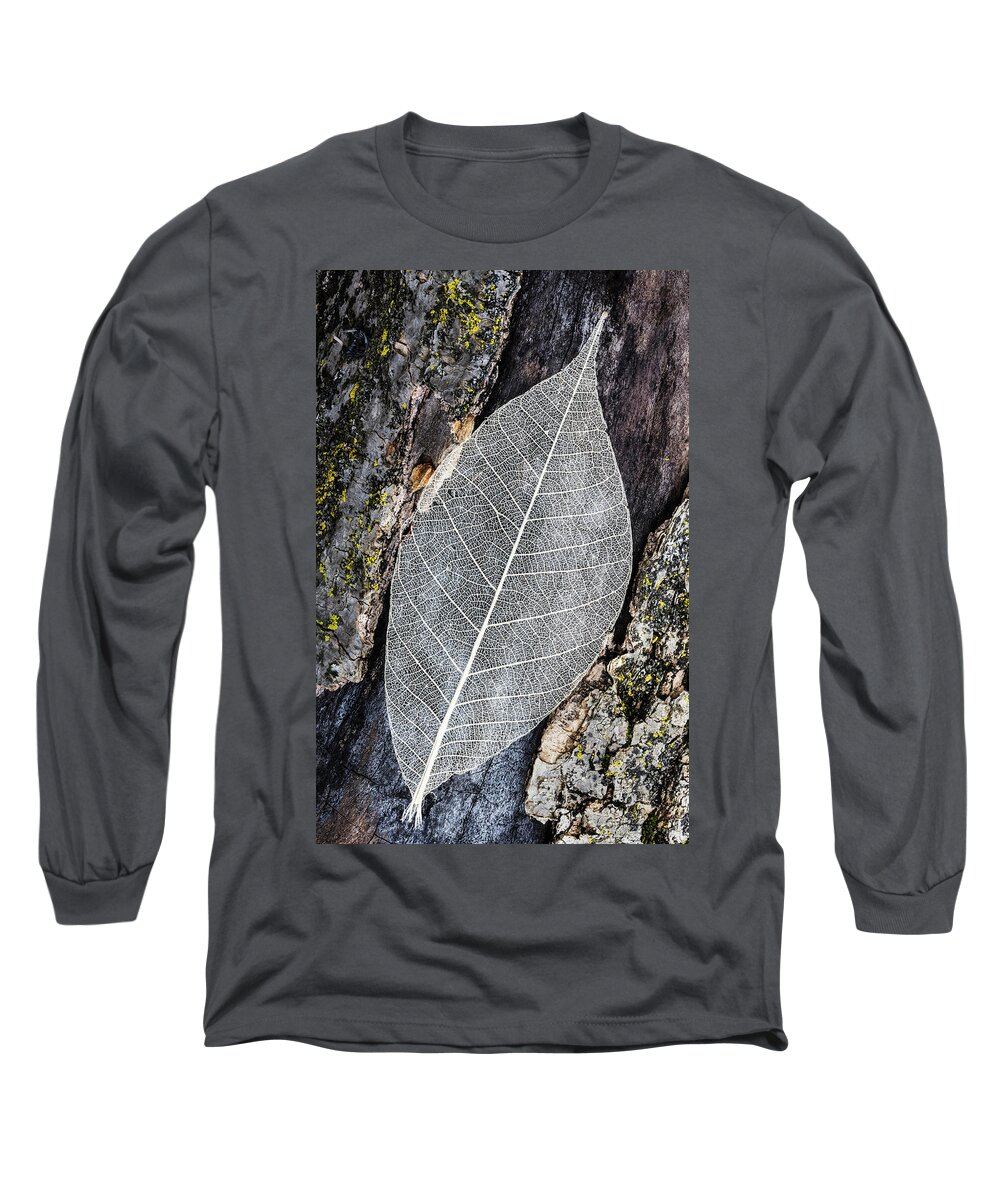Skeleton Leaf Long Sleeve T-Shirt featuring the photograph Skeleton Leaf On Tree Trunk by Gary Slawsky