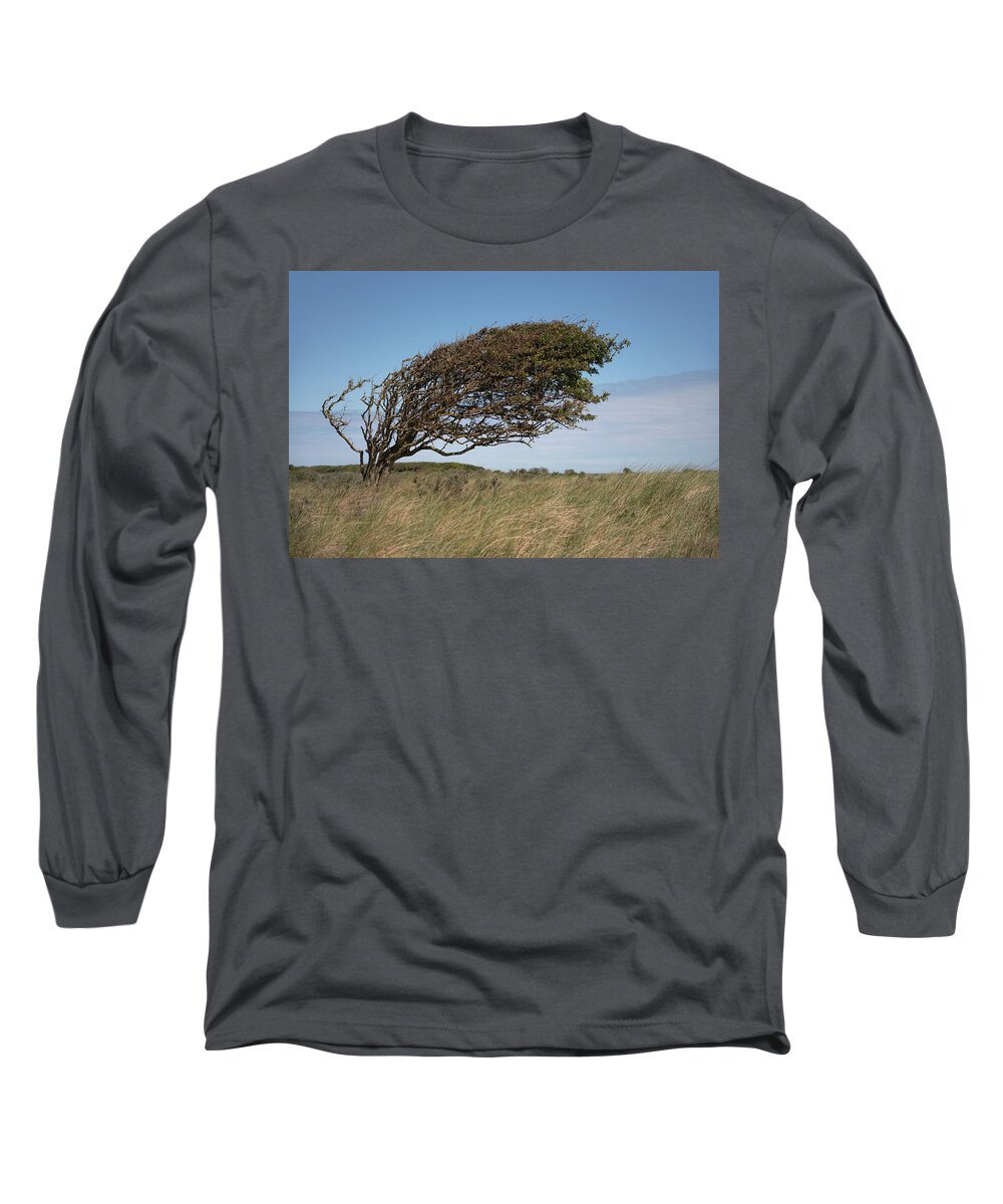 Slant Long Sleeve T-Shirt featuring the photograph Slanting tree by Anges Van der Logt