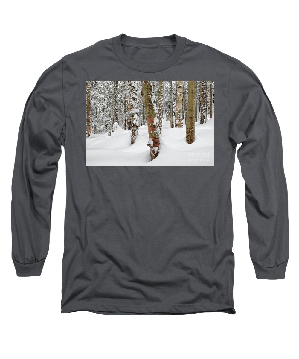 Environment Long Sleeve T-Shirt featuring the photograph Snow-Covered Forest - Kinsman Notch, New Hampshire by Erin Paul Donovan