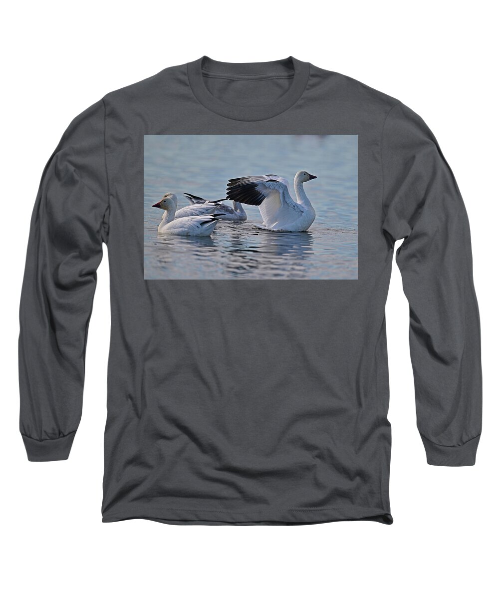 Snow Goose Long Sleeve T-Shirt featuring the photograph Snow Geese at Sacramento NWR Wetland by Amazing Action Photo Video