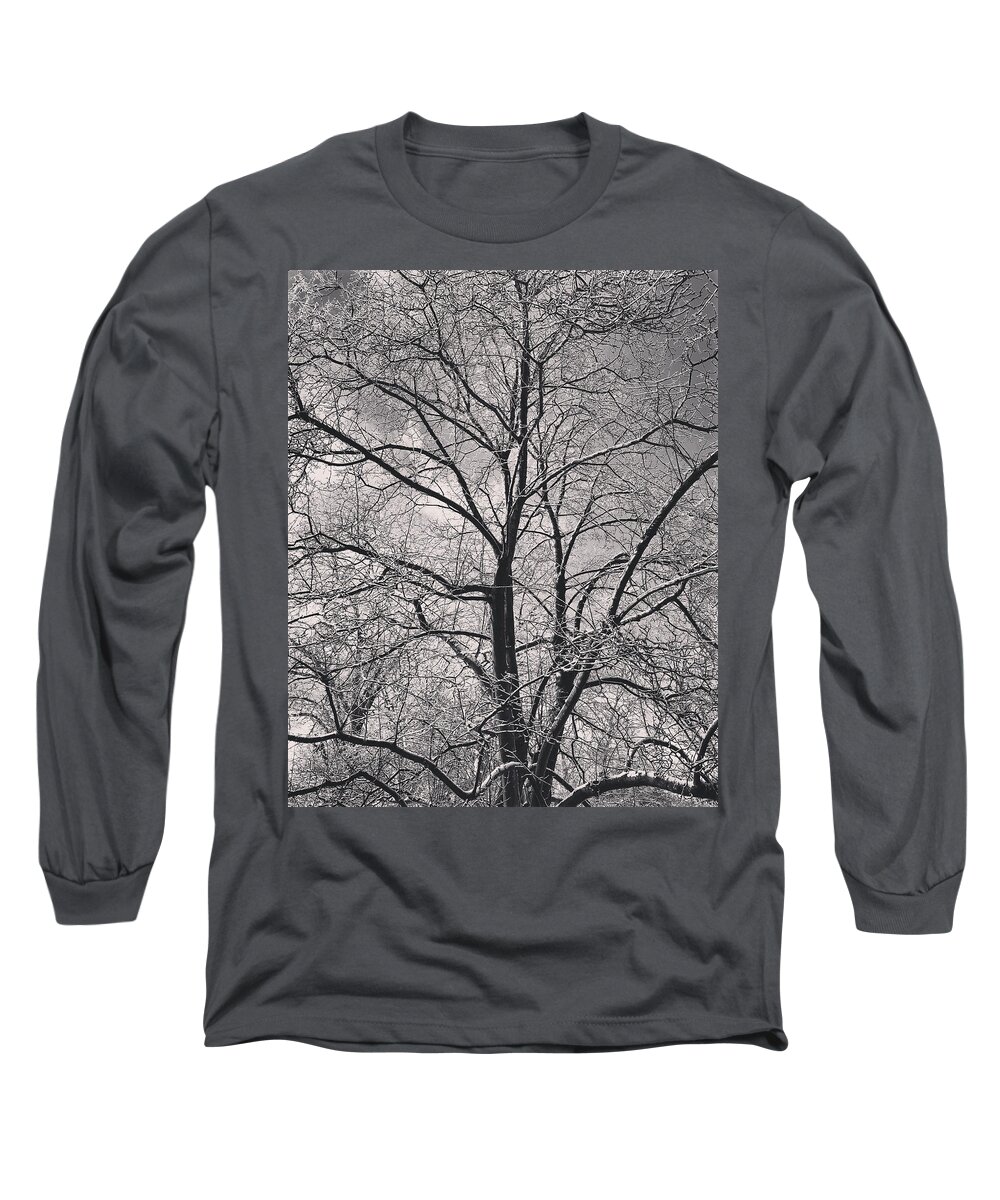 Snow Long Sleeve T-Shirt featuring the photograph Snowcovered Branches - Monochrome by Lisa Pearlman