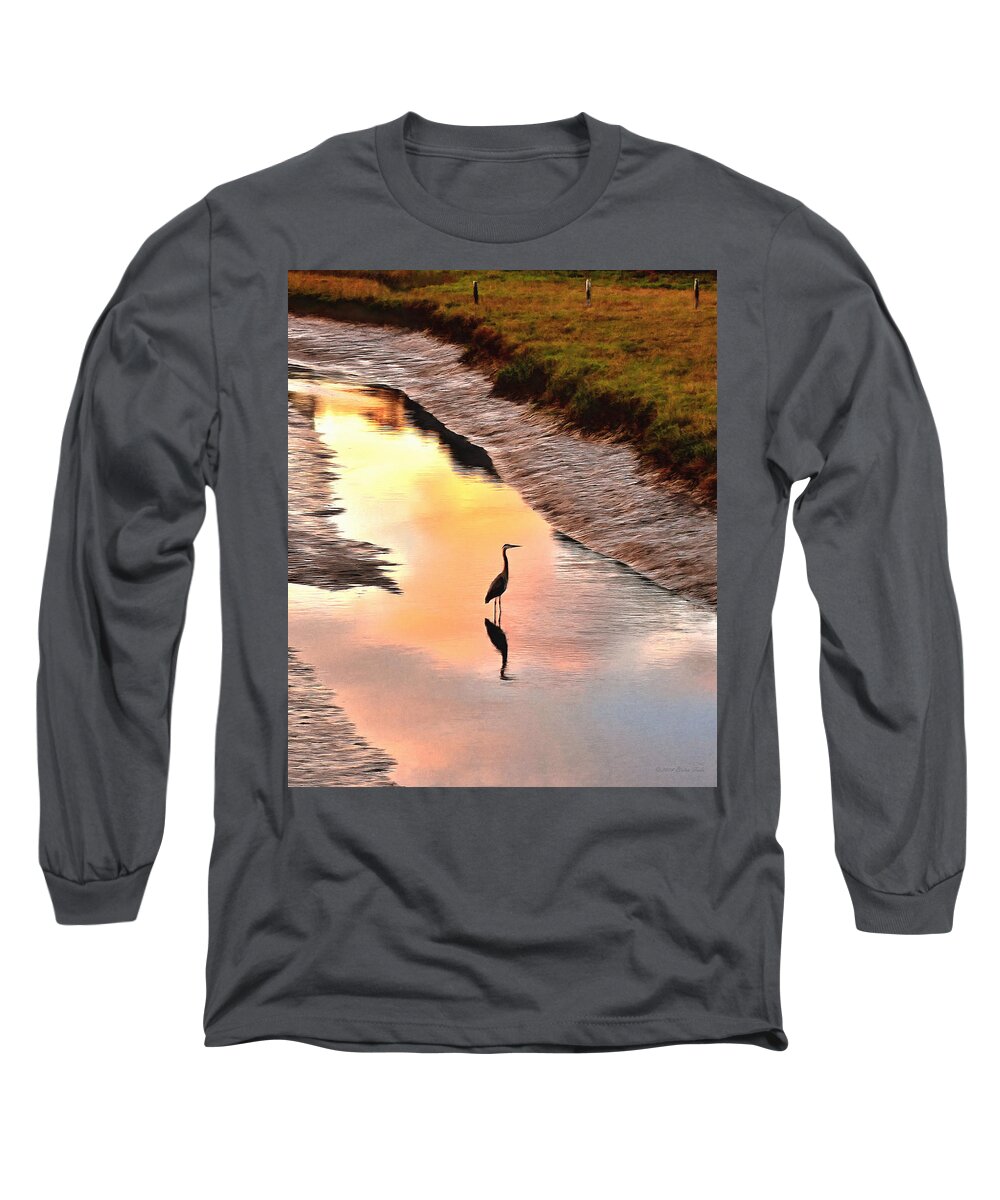 Great Blue Heron Long Sleeve T-Shirt featuring the photograph Solitude by Brian Tada