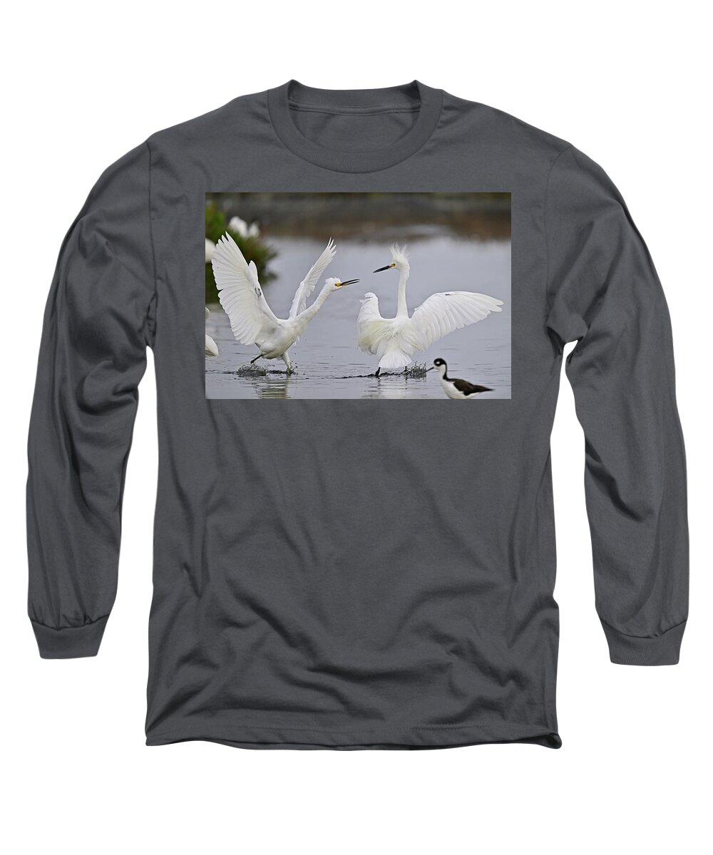 Snowy Egret Long Sleeve T-Shirt featuring the photograph Some Snowy Arguments by Amazing Action Photo Video