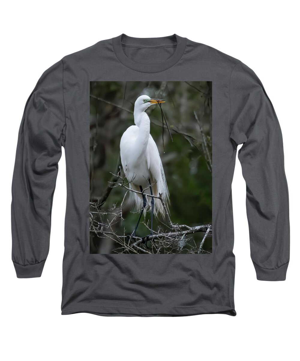 Egret Long Sleeve T-Shirt featuring the photograph Someting For My Nest by Ginger Stein