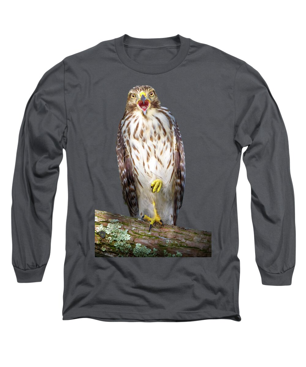 Red Shouldered Hawk Long Sleeve T-Shirt featuring the photograph Song of the Hawk by Mark Andrew Thomas