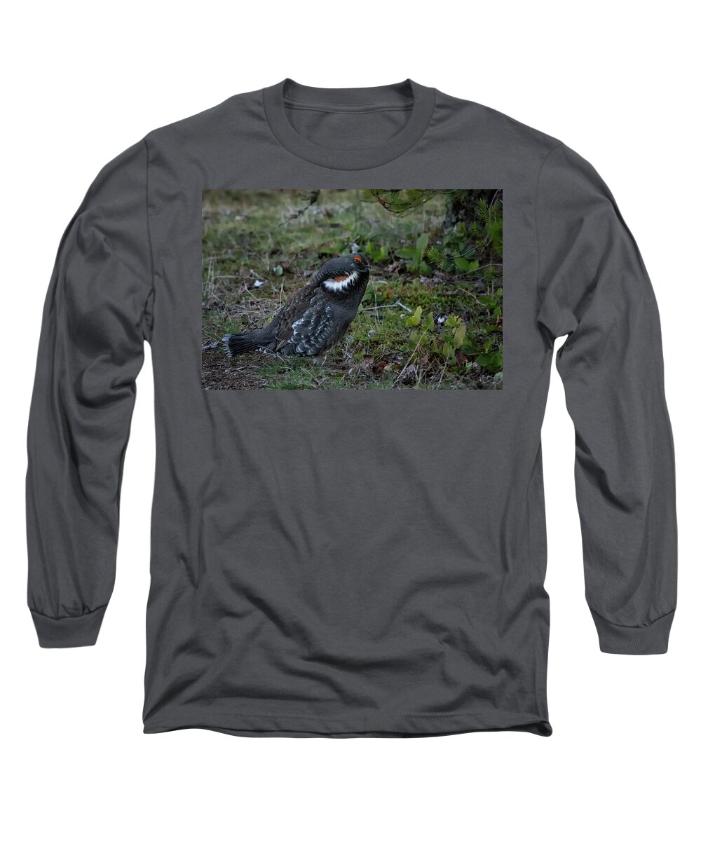 Bird Long Sleeve T-Shirt featuring the photograph Sooty Grouse by Randy Hall