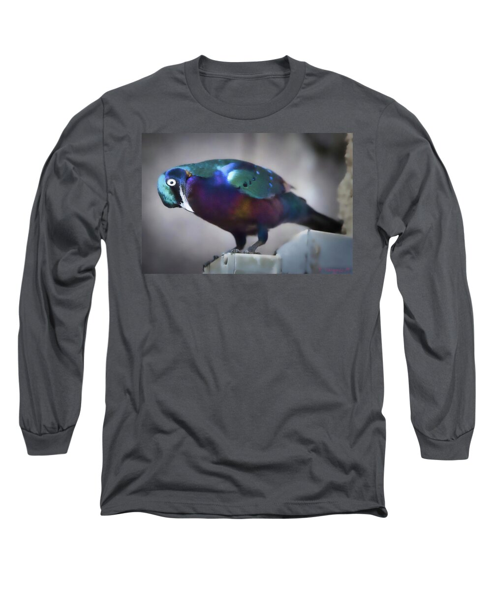 Bird Long Sleeve T-Shirt featuring the photograph Splendid Starling by Rene Vasquez
