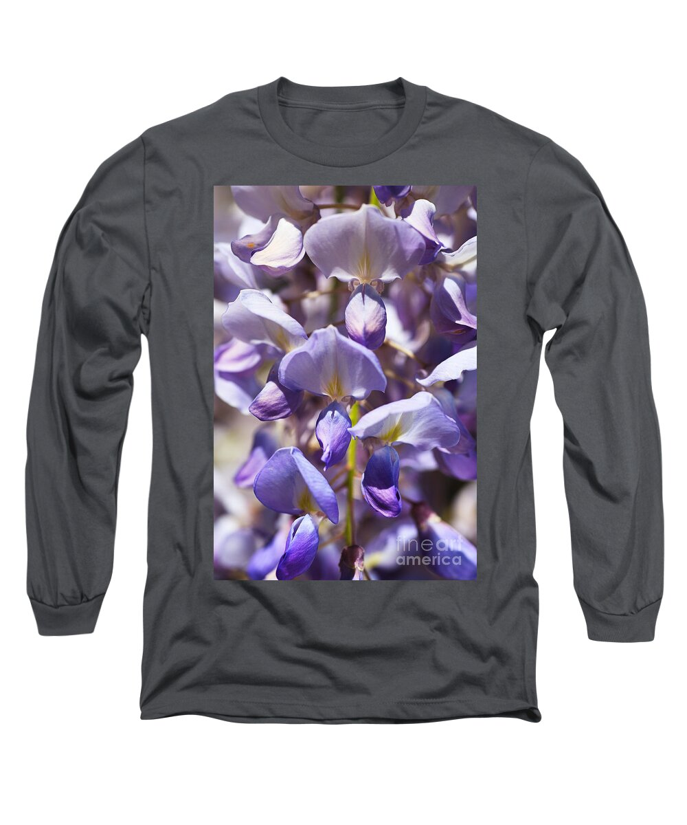 Acanthaceae Long Sleeve T-Shirt featuring the photograph Spring Magical Wisteria by Joy Watson